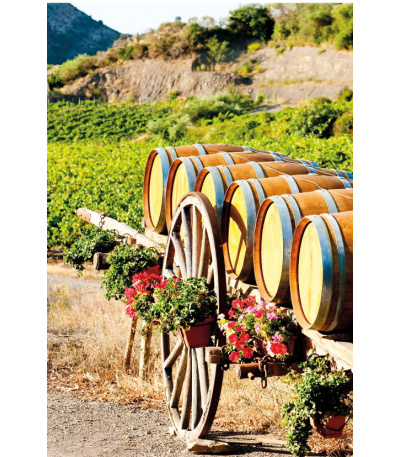 Nástěnný kalendář Víno - A3 2027 - BNF1-27 9