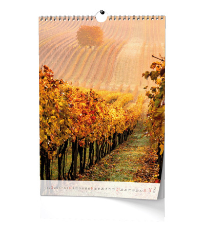 Nástěnný kalendář Víno - A3 2027 - BNF1-27 14