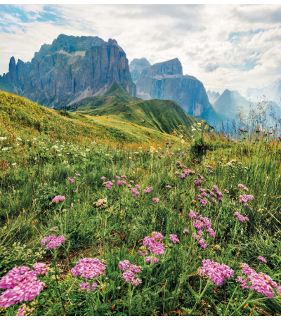 Nástěnný kalendář Alpy - A3 2027 - BNF8-27 8