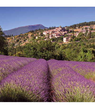 Nástěnný kalendář poznámkový Provence... - BNL5-27 4