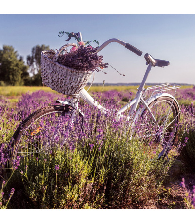 Nástěnný kalendář poznámkový Provence... - BNL5-27 5