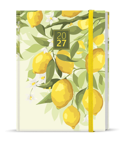 Diář týdenní B6 - Prokop - Lamino - C... - BTP9-5-27 1