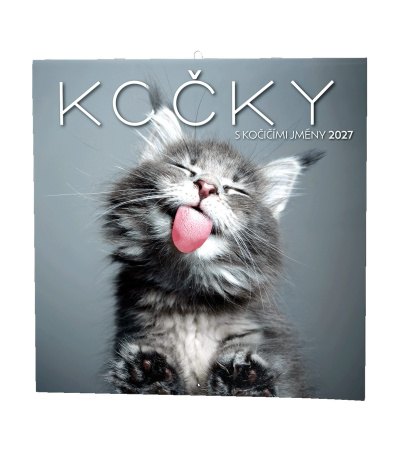 Nástěnný kalendář poznámkový Kočky 2027 - BNL1-27 1
