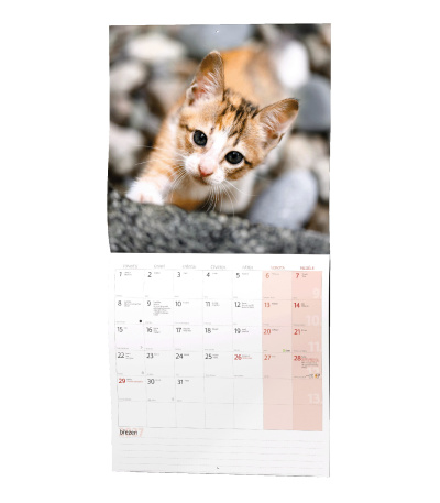 Nástěnný kalendář poznámkový Kočky 2027 - BNL1-27 14