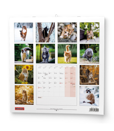 Nástěnný kalendář poznámkový Kočky 2027 - BNL1-27 15