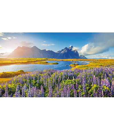 Nástěnný kalendář Tříměsíční - A3 (s ... - BNC8-27 4