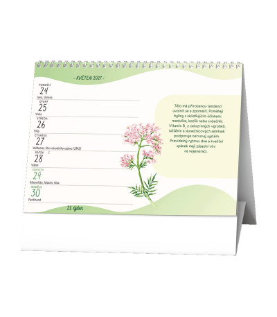 Stolní kalendář Vitaminy a minerály R... - BSF10-27 2