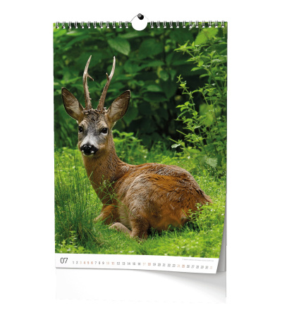 Nástěnný kalendář Myslivecký kalendář... - BNF3-27 14