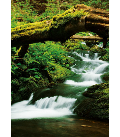 Nástěnný kalendář Kravata - Česká rep... - BNB3-27 4