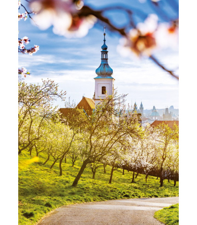 Nástěnný kalendář Kravata - Česká rep... - BNB3-27 6