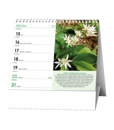 Stolní kalendář IDEÁL - Léčivé rostli... - BSK6-27 2