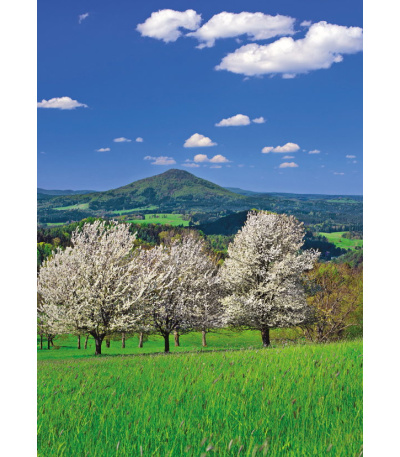 Nástěnný kalendář České Švýcarsko - A... - BNK4-27 6