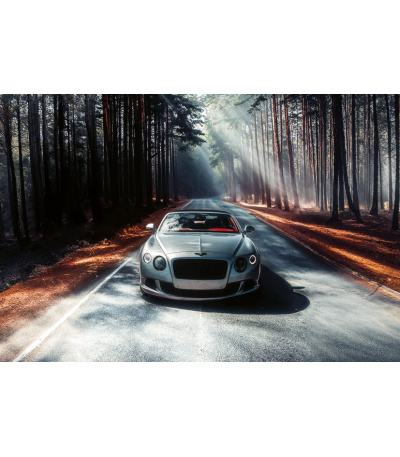 Nástěnný kalendář Dream Cars - A3 2027 - BNE10-27 12