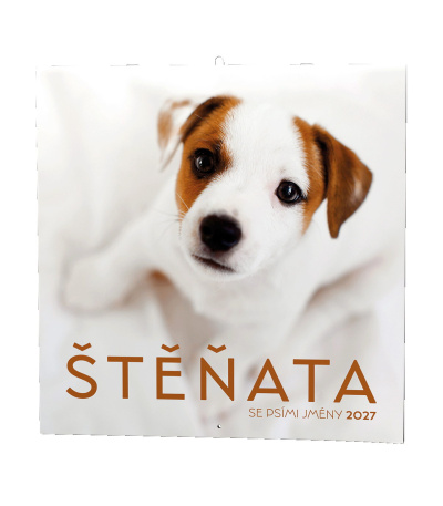 Nástěnný kalendář poznámkový Štěňata ... - BNL2-27 1