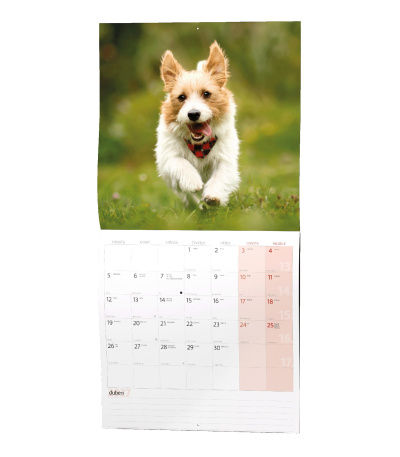 Nástěnný kalendář poznámkový Štěňata ... - BNL2-27 14