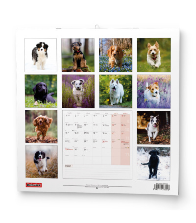 Nástěnný kalendář poznámkový Štěňata ... - BNL2-27 15