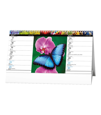 Stolní kalendář Barevný svět - 14denn... - BSH6-27 2