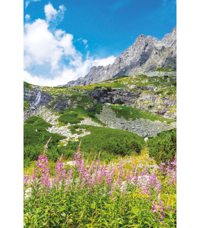 Nástěnný kalendář Tatry - A3 2027 - BNF9-27 4