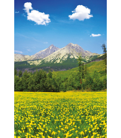 Nástěnný kalendář Tatry - A3 2027 - BNF9-27 6