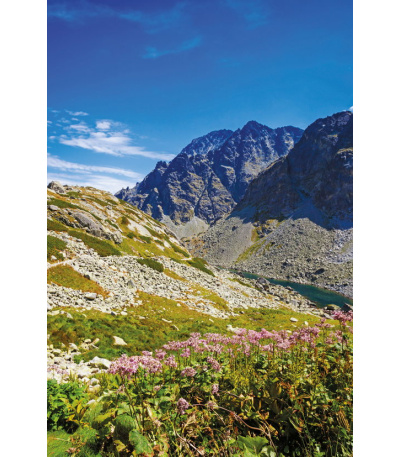 Nástěnný kalendář Tatry - A3 2027 - BNF9-27 7