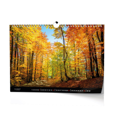 Nástěnný kalendář Les 2027 - BNK22-27 14