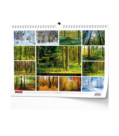 Nástěnný kalendář Les 2027 - BNK22-27 15