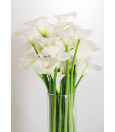 Nástěnný kalendář Květiny - A3 2027 - BNG7-27 2