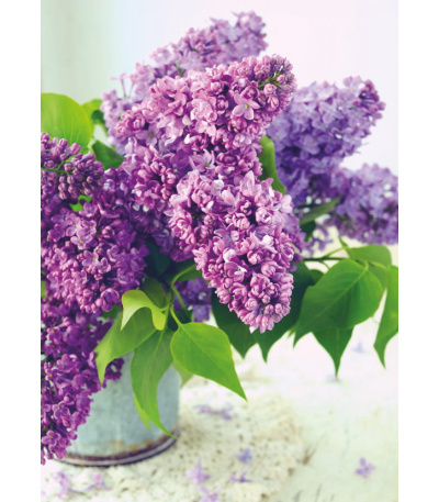 Nástěnný kalendář Květiny - A3 2027 - BNG7-27 5