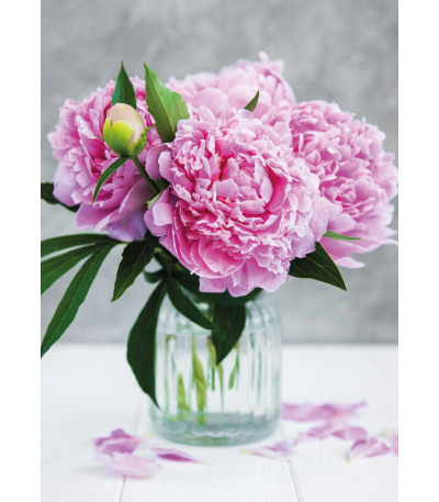 Nástěnný kalendář Květiny - A3 2027 - BNG7-27 6