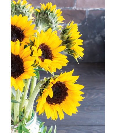 Nástěnný kalendář Květiny - A3 2027 - BNG7-27 9