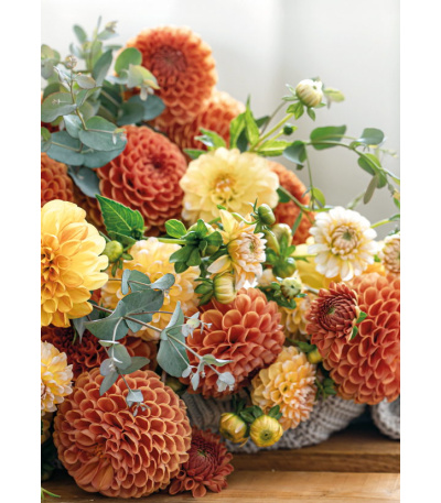 Nástěnný kalendář Květiny - A3 2027 - BNG7-27 12