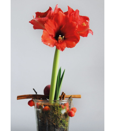 Nástěnný kalendář Květiny - A3 2027 - BNG7-27 13