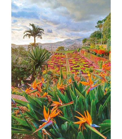 Nástěnný kalendář Europe - A3 2027 - BNG12-27 8