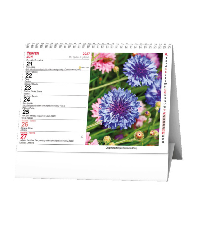 Stolní kalendář Květiny 2027 - BSF7-27 2