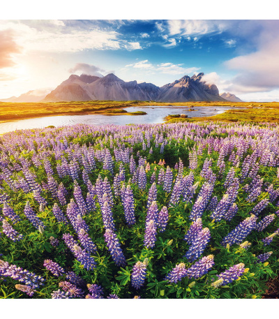 Nástěnný kalendář poznámkový Romantic... - BNL6-27 4