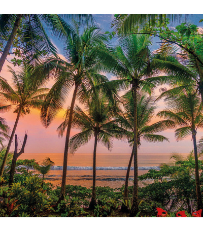 Nástěnný kalendář poznámkový Romantic... - BNL6-27 7