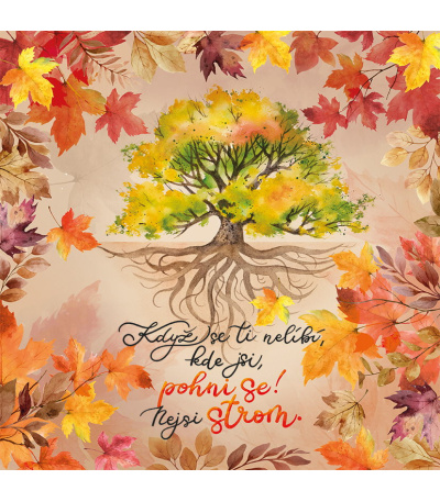 Nástěnný kalendář poznámkový Krásný r... - BNL12-27 11