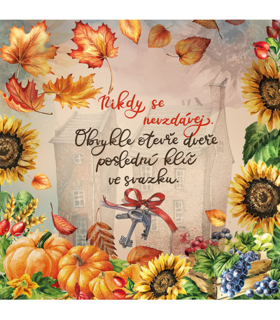 Nástěnný kalendář poznámkový Krásný r... - BNL12-27 12