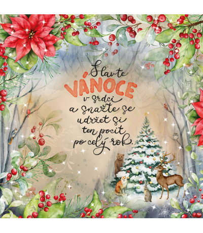 Nástěnný kalendář poznámkový Krásný r... - BNL12-27 13