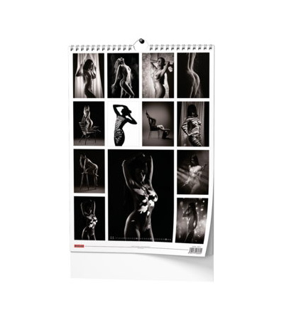 Nástěnný kalendář Imagine - A3 2027 - BNE9-27 14