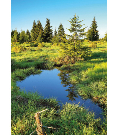 Nástěnný kalendář Krkonoše - A3 2027 - BNK5-27 9