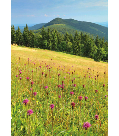 Nástěnný kalendář Krkonoše - A3 2027 - BNK5-27 10