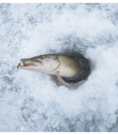 Nástěnný kalendář Rybářský kalendář  ... - BNF4-27 2