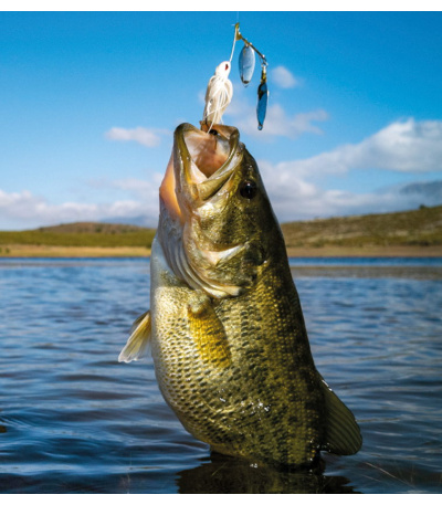 Nástěnný kalendář Rybářský kalendář  ... - BNF4-27 7