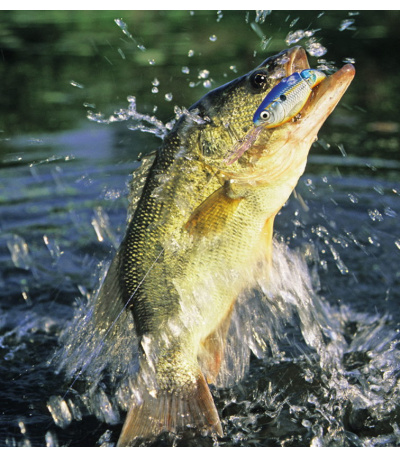 Nástěnný kalendář Rybářský kalendář  ... - BNF4-27 9