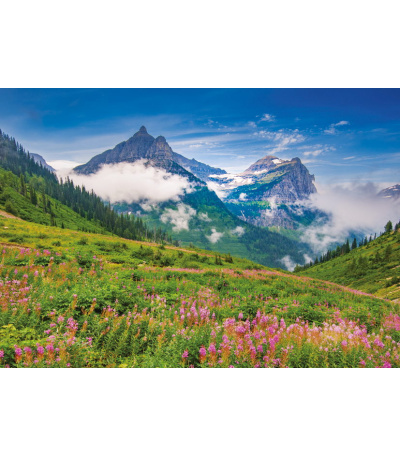 Nástěnný kalendář Toulky přírodou - A... - BNG1-27 4