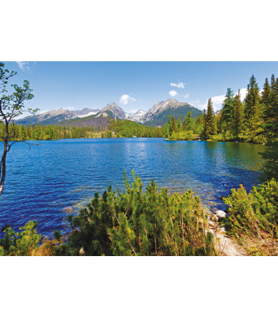 Nástěnný kalendář Toulky přírodou - A... - BNG1-27 5