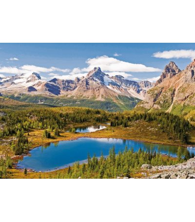 Nástěnný kalendář Toulky přírodou - A... - BNG1-27 11