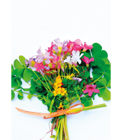 Nástěnný kalendář Kravata -  Kytice -... - BNB9-27 5