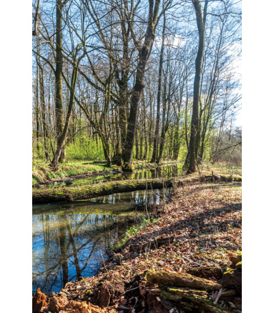 Nástěnný kalendář Krásy Moravy a Slez... - BNF7-27 3